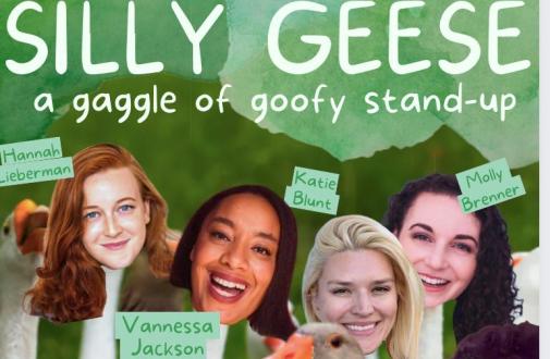 Silly Geese