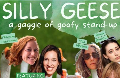 Silly Geese