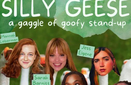 Silly Geese