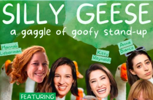 Silly Geese